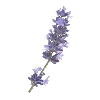 💜 Эмодзи «Purple Фиолетовый» для Telegram