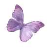 🦋 Эмодзи «Purple Фиолетовый» для Telegram