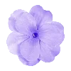🌺 Эмодзи «Purple Фиолетовый» для Telegram