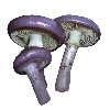🍄 Эмодзи «Purple Фиолетовый» для Telegram