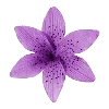 💜 Эмодзи «Purple Фиолетовый» для Telegram
