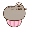 🍪 Эмодзи «Miss pusheen» для Telegram