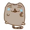 😂 Эмодзи «Miss pusheen» для Telegram