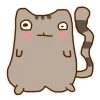 😳 Эмодзи «Miss pusheen» для Telegram