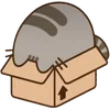 🌟 Эмодзи «Pusheen» для Telegram