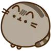 🤩 Эмодзи «Pusheen» для Telegram