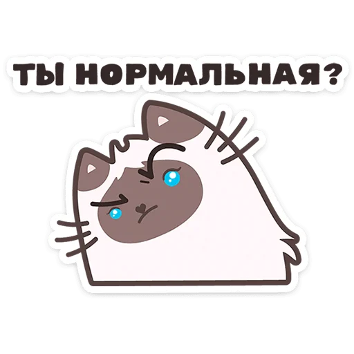 🐱 Стикер «Пушмяу» для Telegram