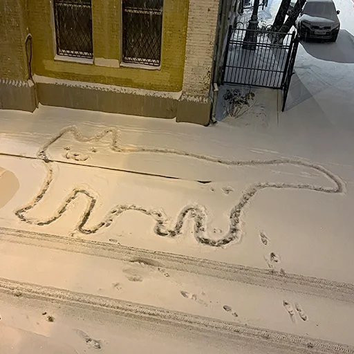 ❄️ Стикер «пушок» для Telegram