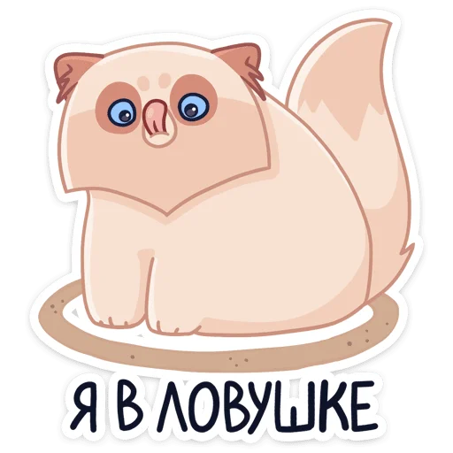 Стикер 42 -Нет, показываю
