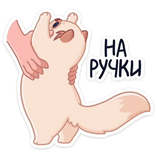 Стикер 25 -Нет, показываю