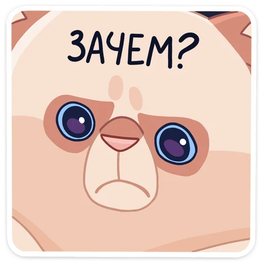 Стикер 38 -Нет, показываю
