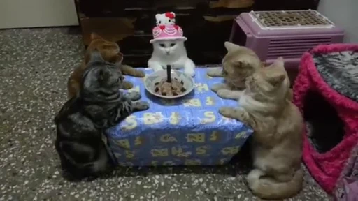 🎂 Стикер «Pussies Pack» для Telegram
