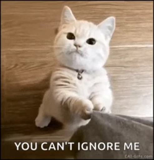 😊 Стикер «Pussies Pack» для Telegram