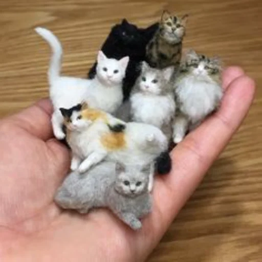 🐈‍⬛️ Стикер «Gachi Puss in Bods» для Telegram
