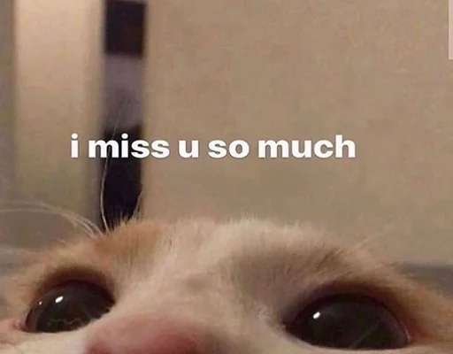 💔 Стикер «пуссис» для Telegram