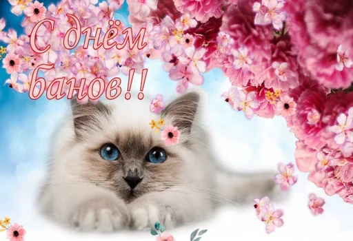 💐 Стикер «пуссис» для Telegram