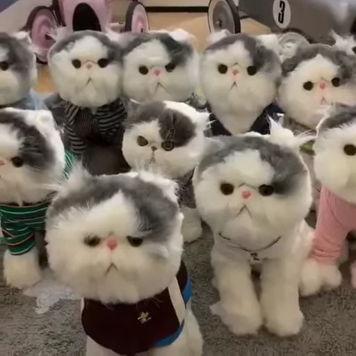 🐈 Стикер «Kitty» для Telegram