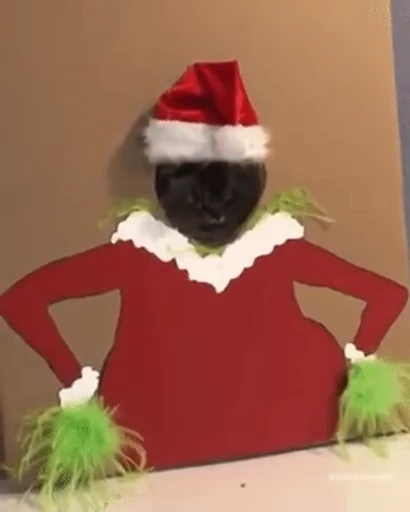 😾 Стикер «Kitty 2» для Telegram