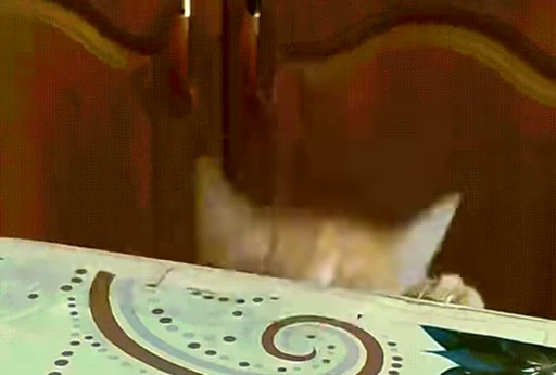 🌭 Стикер «Kitty 2» для Telegram