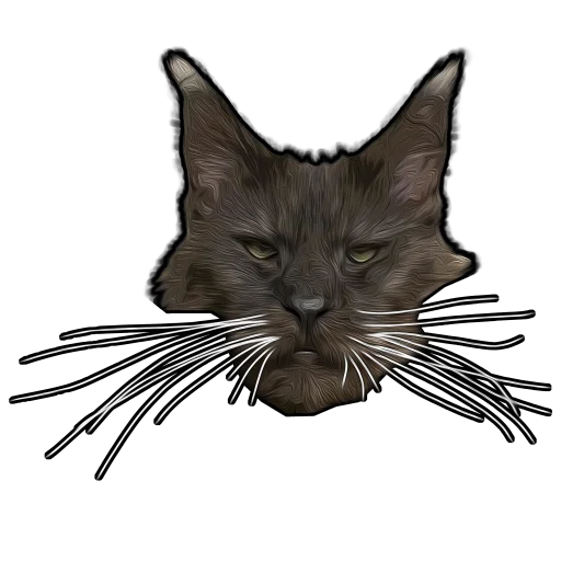 😬 Стикер «Pussy 69 vol. 1» для Telegram