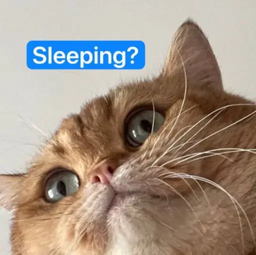 😴 Стикер «PussyPaw» для Telegram