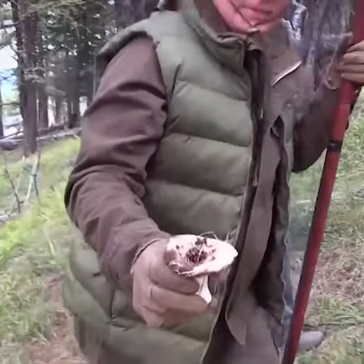 🍄 Стикер «Putin Russia» для Telegram