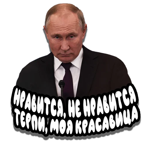 😅 Стикер «Put in pack» для Telegram