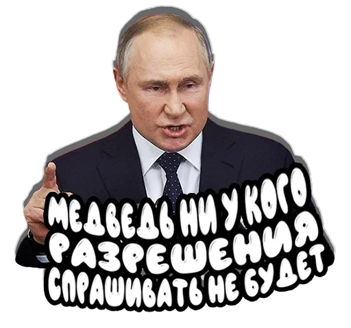 🐻 Стикер «Put in pack» для Telegram