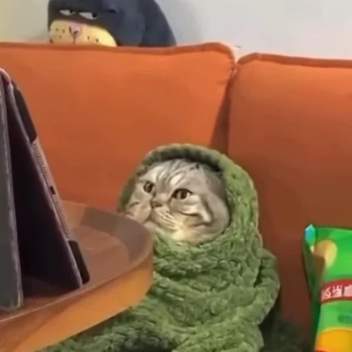😕 Стикер «Cats compilation» для Telegram