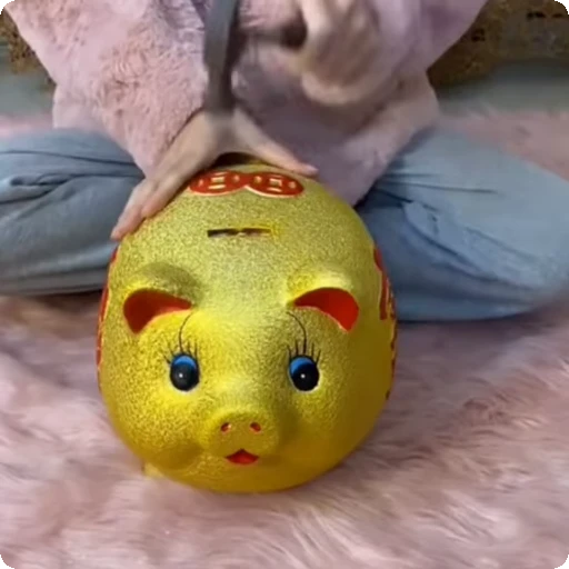 🐖 Стикер «Money Деньги» для Telegram