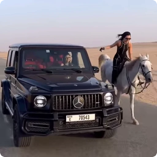 🐎 Стикер «Money Деньги» для Telegram