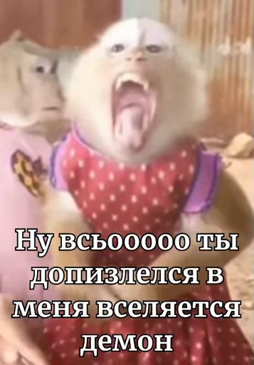 🤩 Стикер «/q img» для Telegram