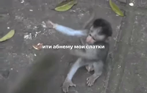 🤩 Стикер «/q img» для Telegram