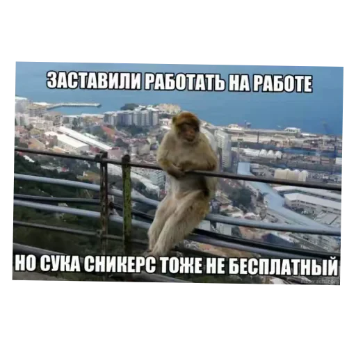 👍 Стикер «/q img» для Telegram