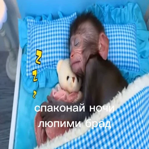 🤩 Стикер «/q img» для Telegram