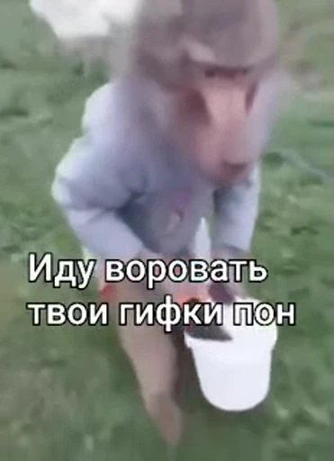 🤩 Стикер «/q img» для Telegram
