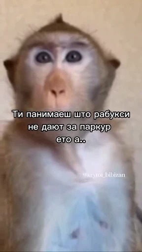 🤩 Стикер «/q img» для Telegram