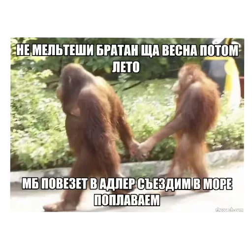 👍 Стикер «/q img» для Telegram