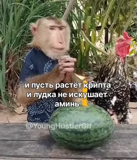 🤩 Стикер «/q img» для Telegram