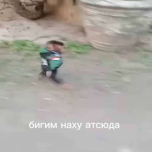 🤩 Стикер «/q img» для Telegram