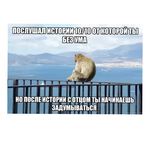 👍 Стикер «/q img» для Telegram
