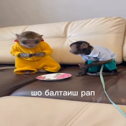 🤩 Стикер «/q img» для Telegram