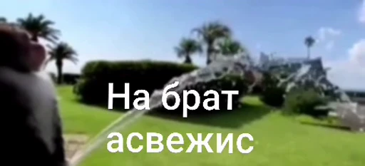 🤩 Стикер «/q img» для Telegram