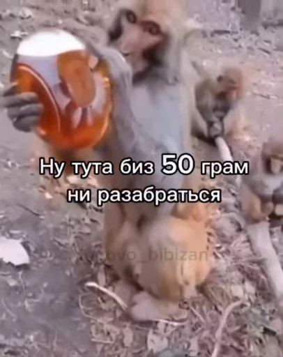 🤩 Стикер «/q img» для Telegram