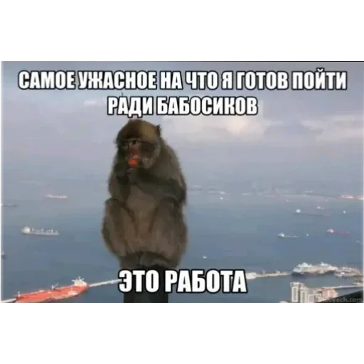 👍 Стикер «/q img» для Telegram