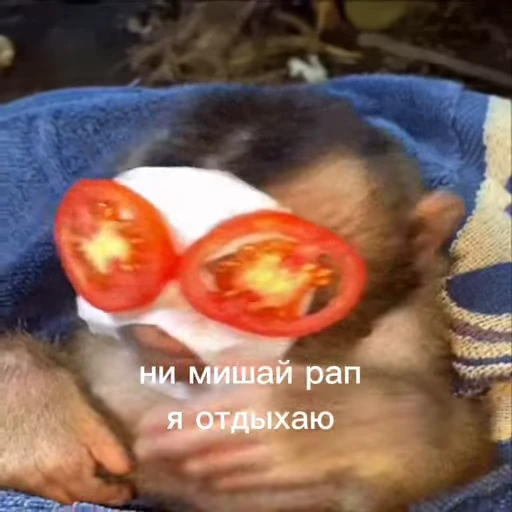 🤩 Стикер «/q img» для Telegram