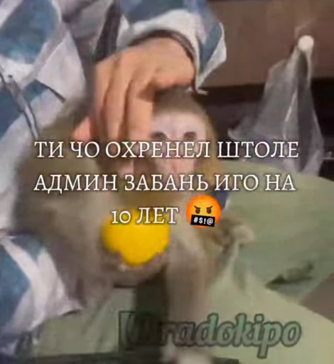 🤩 Стикер «/q img» для Telegram