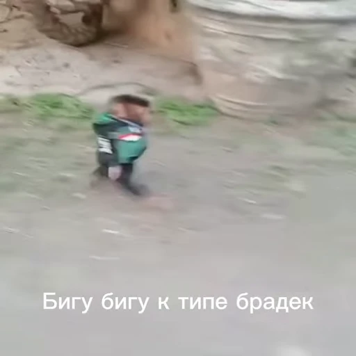 🤩 Стикер «/q img» для Telegram