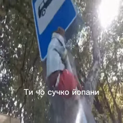🤩 Стикер «/q img» для Telegram