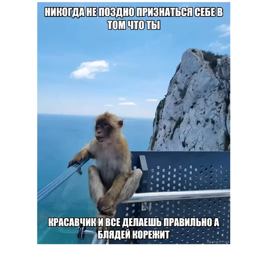 👍 Стикер «/q img» для Telegram